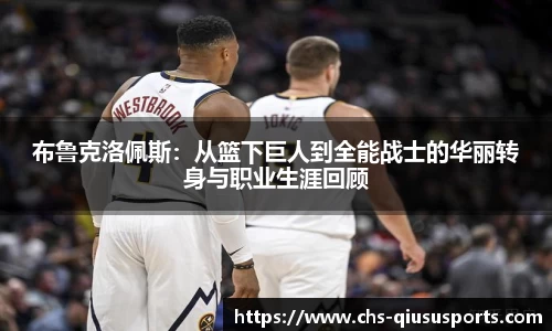 布鲁克洛佩斯：从篮下巨人到全能战士的华丽转身与职业生涯回顾